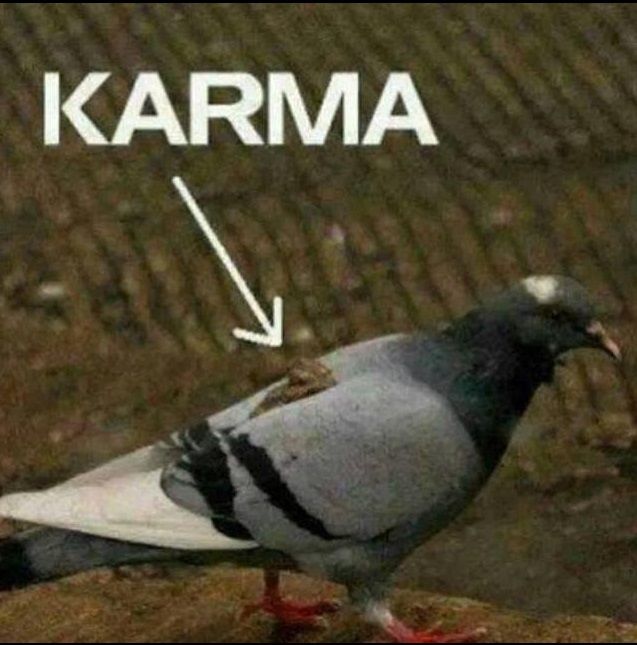 karma